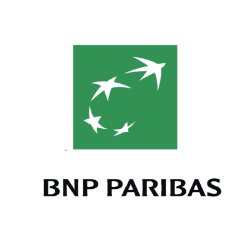 bnp logo